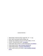 Referāts 'Lobisms. Eiropas Savienība un Latvijas iespējas tajā', 13.