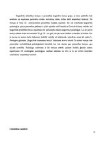 Referāts 'Kognitīvās atbilstības teorijas', 15.