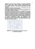 Referāts 'Braukšana krustojumos', 12.