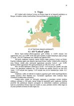Referāts 'AS "Latfood" tirgus izpēte', 18.