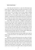 Referāts 'E.Eriksona psihosociālā attīstības teorija', 6.