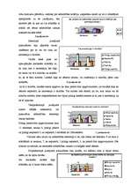 Referāts 'Anoreksiju veicinošie faktori pusaudžu vidū', 23.