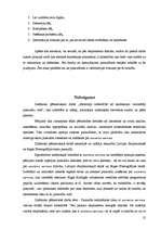 Referāts 'Anoreksiju veicinošie faktori pusaudžu vidū', 25.