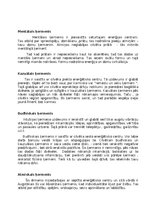 Konspekts '7 cilvēka dzīves ķermeņi', 2.