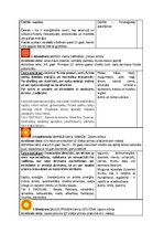 Konspekts '7 cilvēka dzīves ķermeņi', 54.