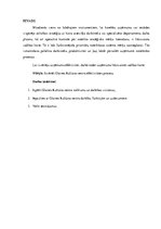 Referāts 'Produktivitāte', 1.