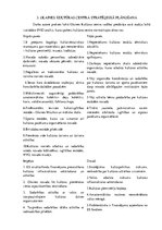 Referāts 'Produktivitāte', 7.