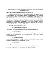 Referāts 'Produktivitāte', 9.