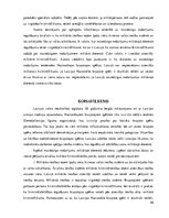 Referāts 'Noziedzīgie nodarījumi militārajā dienestā', 46.