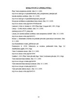 Referāts 'Ētikas jautājumu specifika publiskajā pārvaldē', 24.