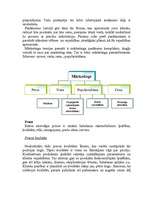 Biznesa plāns 'SIA "Modes aģentūra" biznesa plāns', 3.
