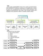 Biznesa plāns 'SIA "Modes aģentūra" biznesa plāns', 5.