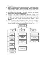 Biznesa plāns 'SIA "Modes aģentūra" biznesa plāns', 6.