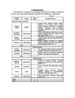 Biznesa plāns 'SIA "Modes aģentūra" biznesa plāns', 7.