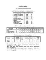 Biznesa plāns 'SIA "Modes aģentūra" biznesa plāns', 8.