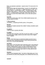 Referāts 'Bībeles vārdu skaidrojumi, pareizticība', 4.