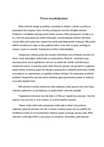 Biznesa plāns 'Biznesa plāns', 7.