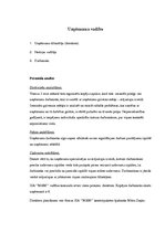 Biznesa plāns 'Biznesa plāns', 10.