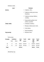 Biznesa plāns 'Biznesa plāns', 12.