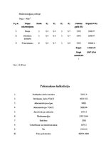 Biznesa plāns 'Biznesa plāns', 16.