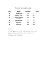 Biznesa plāns 'Biznesa plāns', 18.