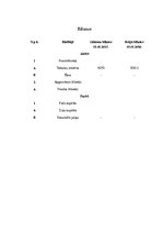 Biznesa plāns 'Biznesa plāns', 20.