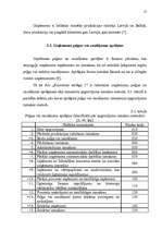 Referāts 'Peļņa un tās rādītāji', 17.