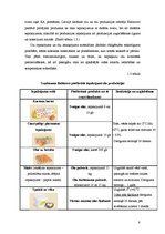 Referāts 'Olu ēdieni', 8.