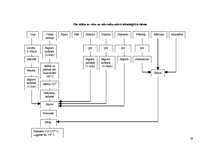 Referāts 'Olu ēdieni', 19.