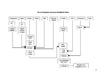 Referāts 'Olu ēdieni', 21.