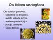 Referāts 'Olu ēdieni', 36.