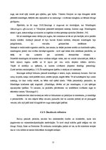 Referāts 'Fantāzijas žanra fenomens Dž.K.Roulingas romānā "Harijs Poters un Noslēpumu kamb', 13.
