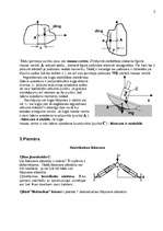 Konspekts 'Ķermeņa stabilitāte', 3.