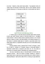 Diplomdarbs 'Mūzikas nodarbību ietekme pusaudžu kreativitātes attīstīšanā', 21.