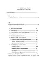 Referāts 'Sānslīde ceļu satiksmē', 1.