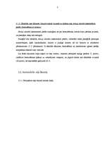 Referāts 'Sānslīde ceļu satiksmē', 5.