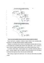 Referāts 'Sānslīde ceļu satiksmē', 7.