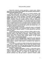 Referāts 'Grāmatvedības pārskati', 3.