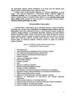 Referāts 'Grāmatvedības pārskati', 5.