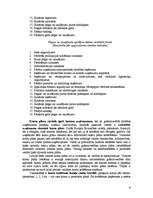 Referāts 'Grāmatvedības pārskati', 6.