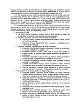 Referāts 'Pirmsskolas vecuma bērna runas un valodas izpēte', 4.