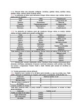 Referāts 'Pirmsskolas vecuma bērna runas un valodas izpēte', 9.