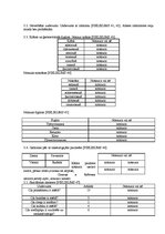 Referāts 'Pirmsskolas vecuma bērna runas un valodas izpēte', 12.