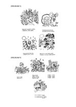 Referāts 'Pirmsskolas vecuma bērna runas un valodas izpēte', 38.