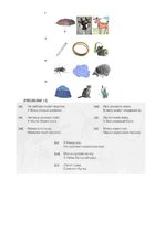 Referāts 'Pirmsskolas vecuma bērna runas un valodas izpēte', 40.