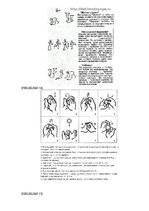 Referāts 'Pirmsskolas vecuma bērna runas un valodas izpēte', 64.