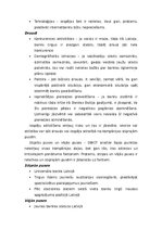 Konspekts 'SWOT analīze un mārketinga process', 3.