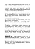 Konspekts 'SWOT analīze un mārketinga process', 6.