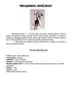 Paraugs 'Tūrisma šķēršļu josla', 2.