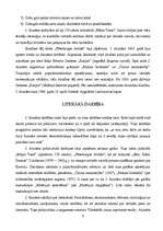 Referāts 'Jura Alunāna personības veidošanās', 6.